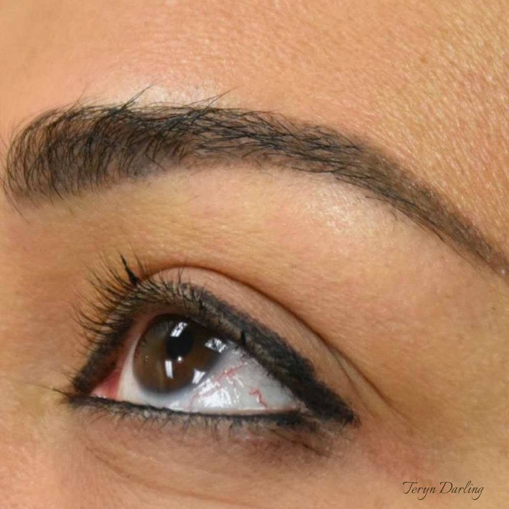 By Artist Teryn Darling: after of beautifully done permanent powder brows